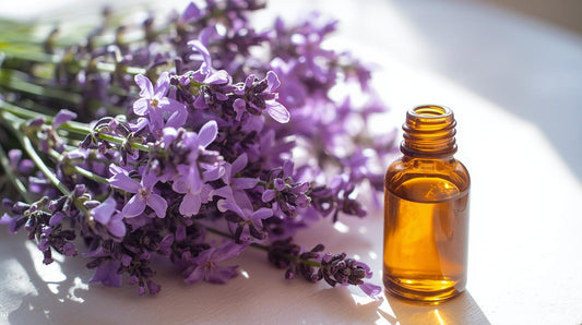Types of Lavender Essential Oils