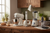 Essential Appliances for Bakers