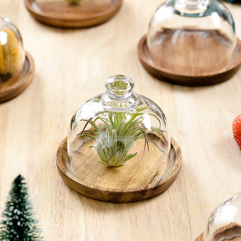 Mini Glass Dome and Wooden Dessert Plate