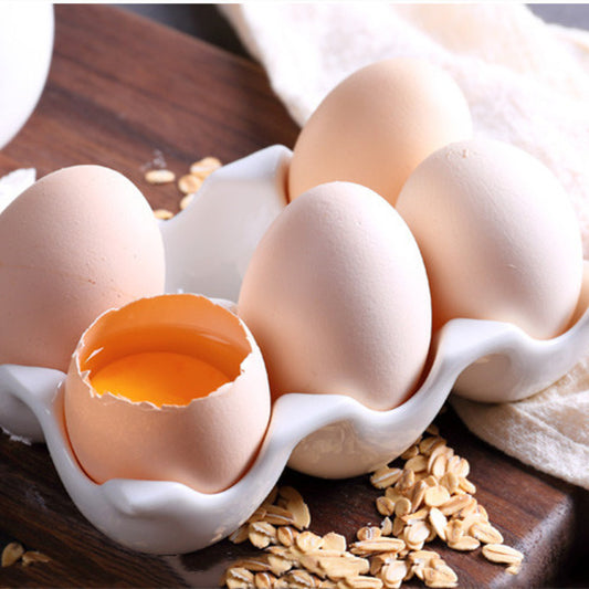 Half-Dozen Ceramic Egg Crate