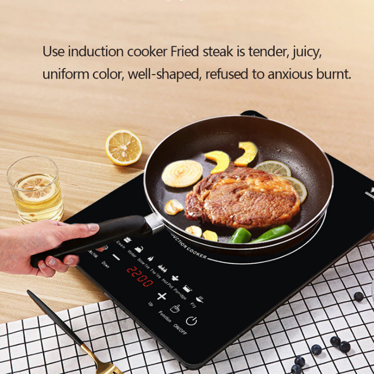 Intelligent Electric Induction Hotplate