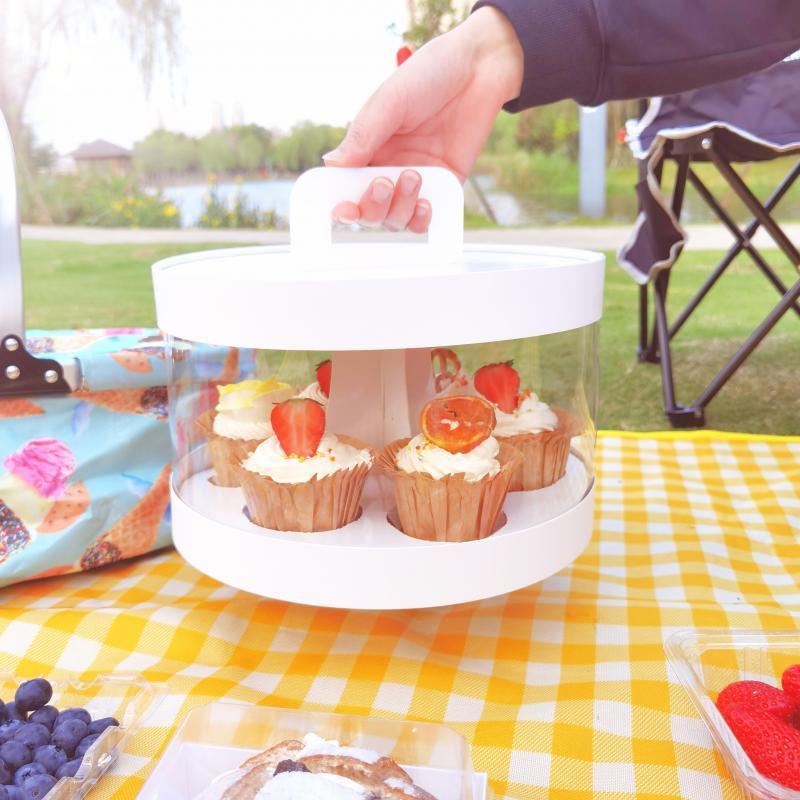 Cupcake Display Carrier