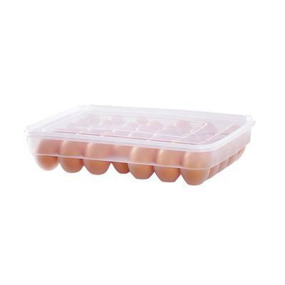 Plastic Egg Carton